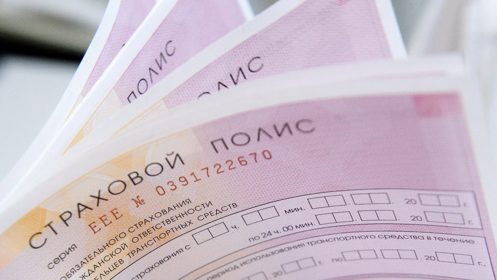 Закон о единой «автогражданке» для России и Беларуси могут одобрить уже в марте
